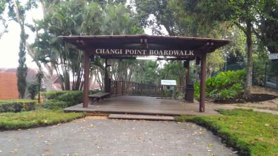 Changi
  Boardwalk