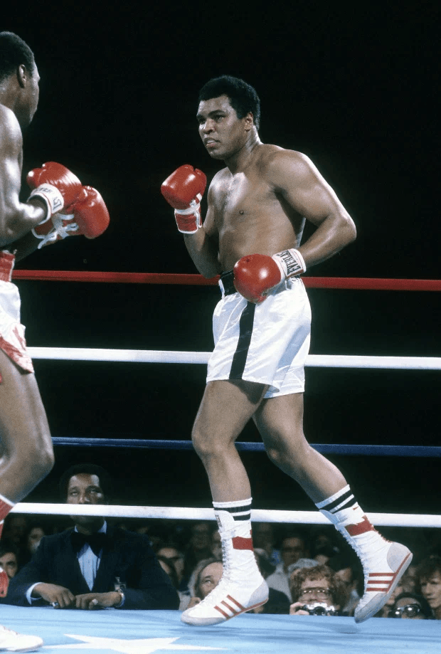 ស្តេចប្រដាល់ Muhammad Ali&nbsp;