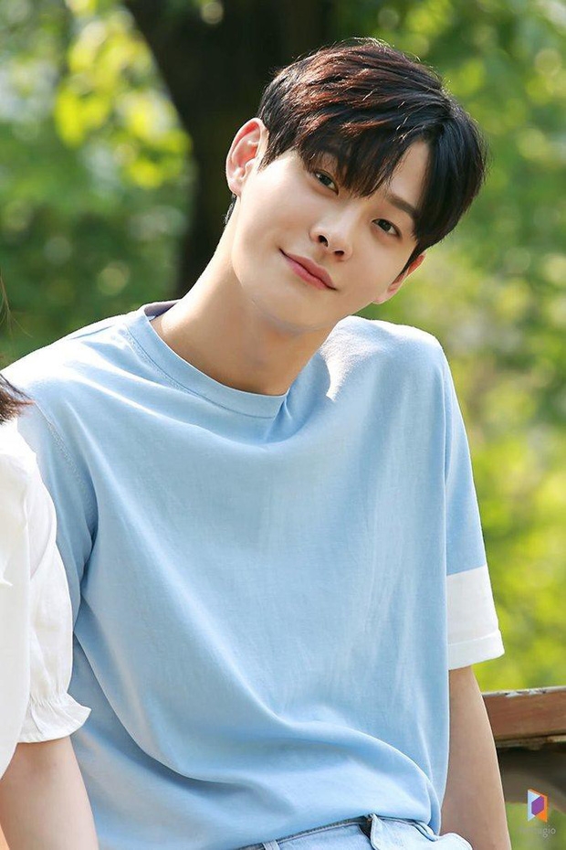 Cha In Ha