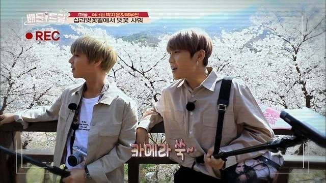 wanna one members trip 