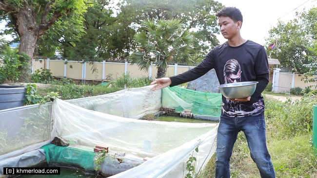 ការ​ផ្តល់​ចំណី​ដល់​ត្រី