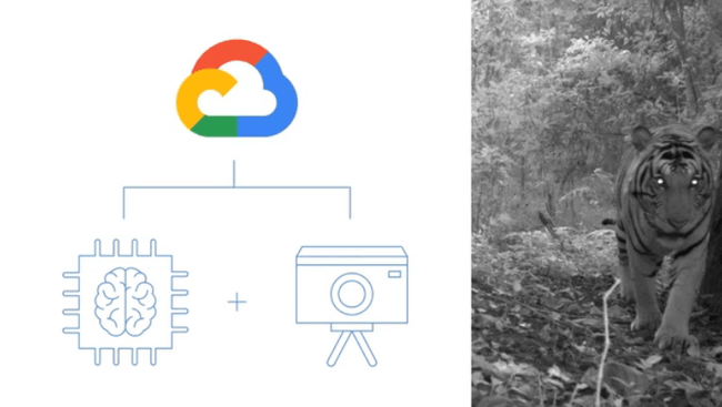 កម្មវិធីនេះបានប្រើប្រាស់បច្ចេកវិទ្យា AI និង កាំមេរ៉ាទំនើបសម្រាប់ថតសត្វព្រៃ ហើយរក្សាទុកទិន្នន័យនៅលើ Google Cloud
