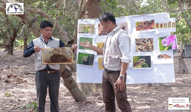 សហគមន៍ចិញ្ចឹមឃ្មុំរបស់អង្គការសង្រ្គោះសត្វព្រៃ (Save Cambodia’s Wildlife)