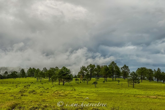ទិដ្ឋភាពក្នុងតំបន់ភ្នំខ្នងក្រពើ