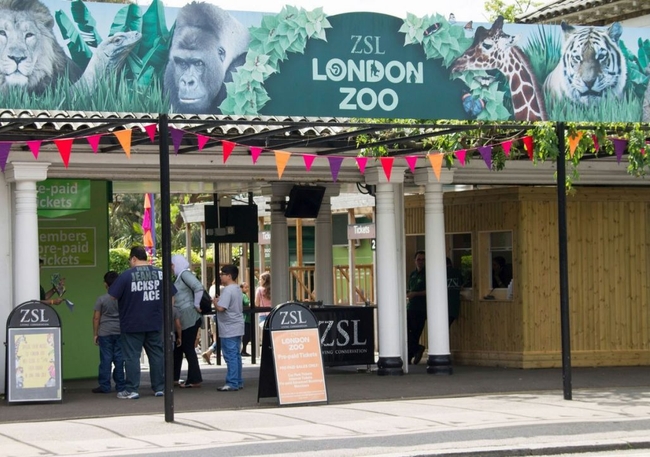 សួនសត្វ London Zoo 
