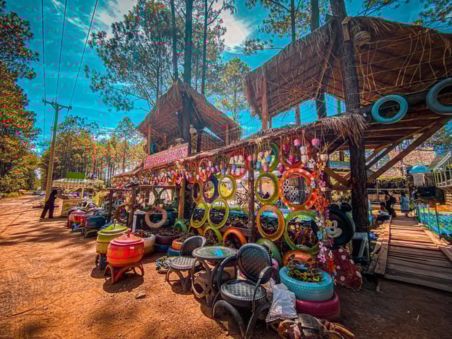 សាលាដូង