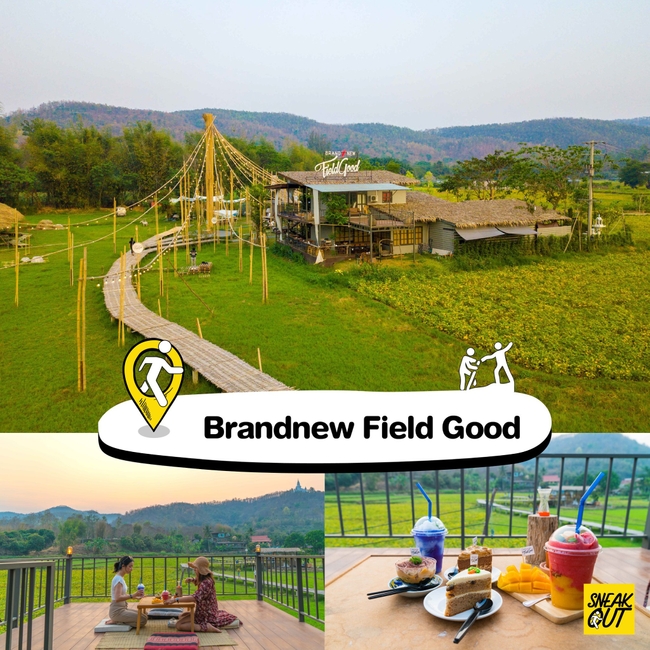 Brandnew Field Good