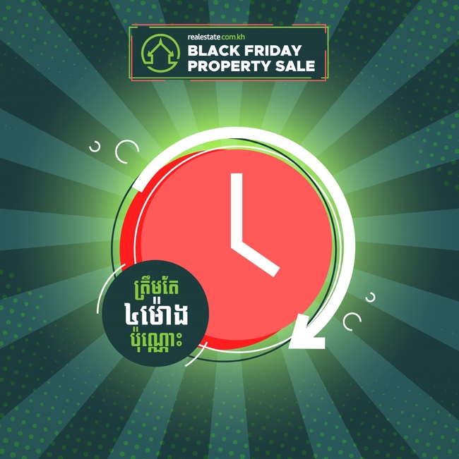 Black Friday Property Sale